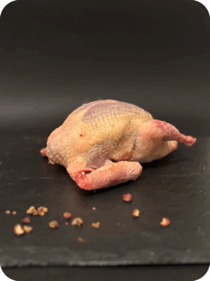 Pigeonneau
