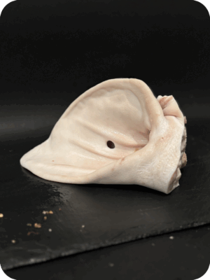 Oreille de porc